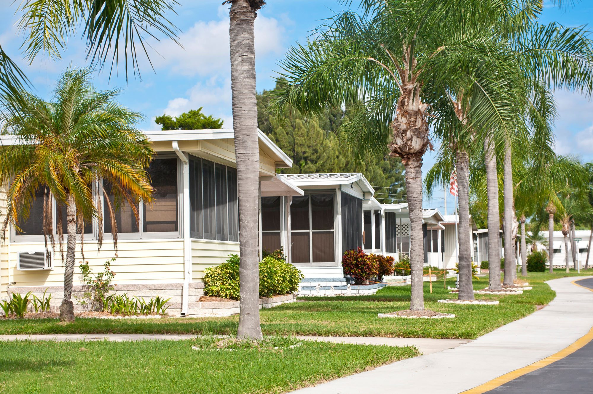 Palm Haven